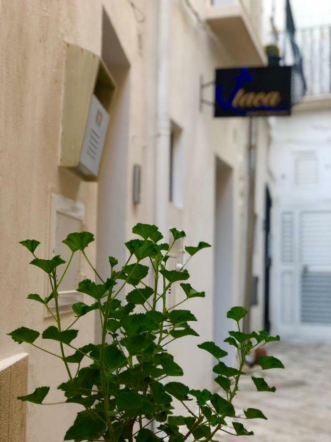 Itaca Home To Explorers In Polignano A Mare Dış mekan fotoğraf